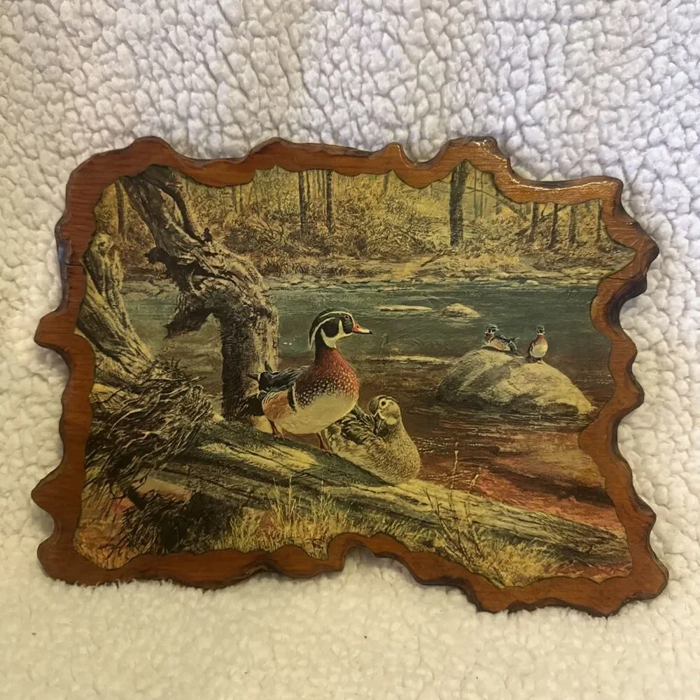 Vintage Hanging Wooden Duck Picture 12 In x 9 In
